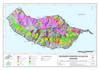 9A OcFlorestal Madeira