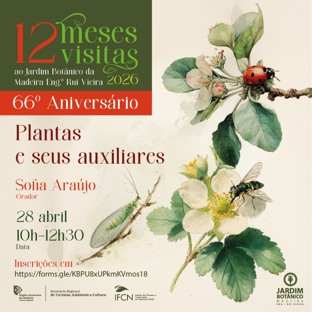 Plantas e seus auxiliares