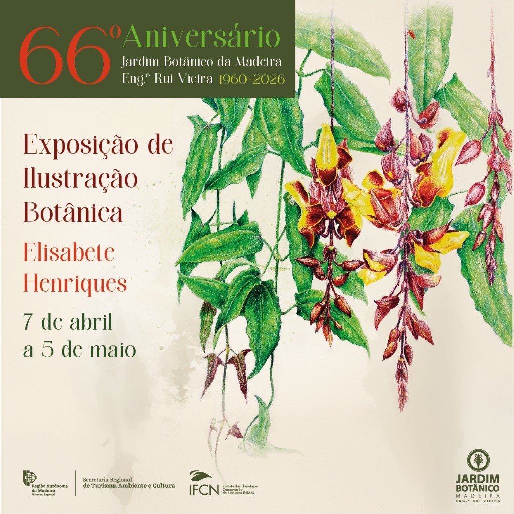 Expo Ilustracao