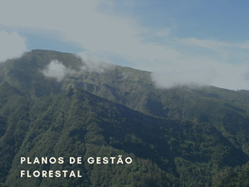 Planos de Gestão Florestal