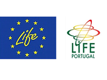 Sessão regional life 2018 e workshop de capacitação