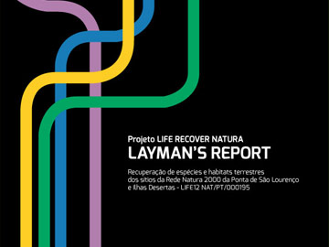 Layman report já disponível