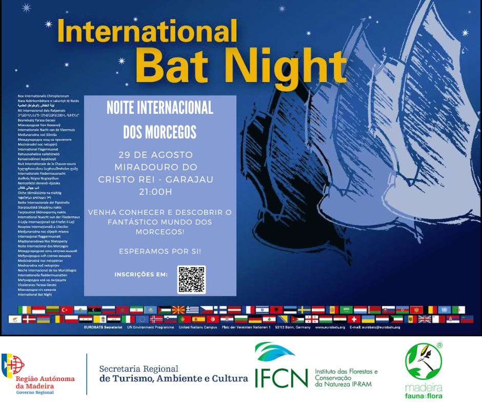 noite internacional morcegos