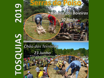 IFCN APOIA AS TOSQUIAS TRADICIONAIS