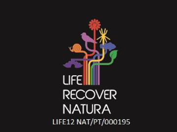 Passatempo mensal Life Recover Natura