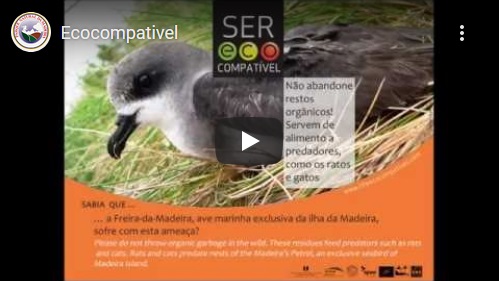 ProjectoLifeEco
