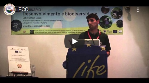 SeminarioDesenv