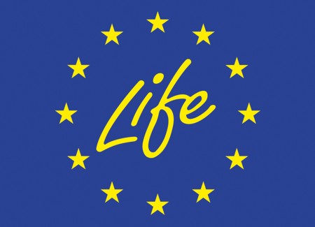 LIFElogo