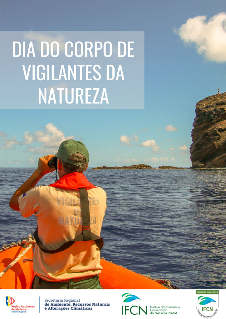 DiaCVN Cartaz 2022 1