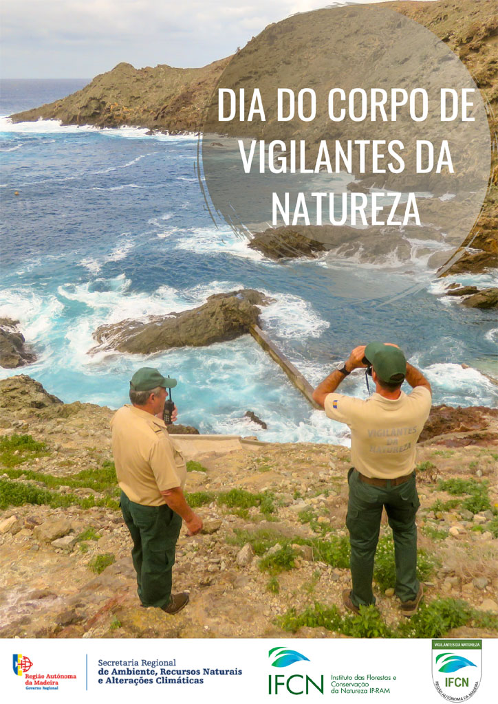 DiaCVN Cartaz 2022 2