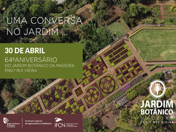 ImagDestJB24