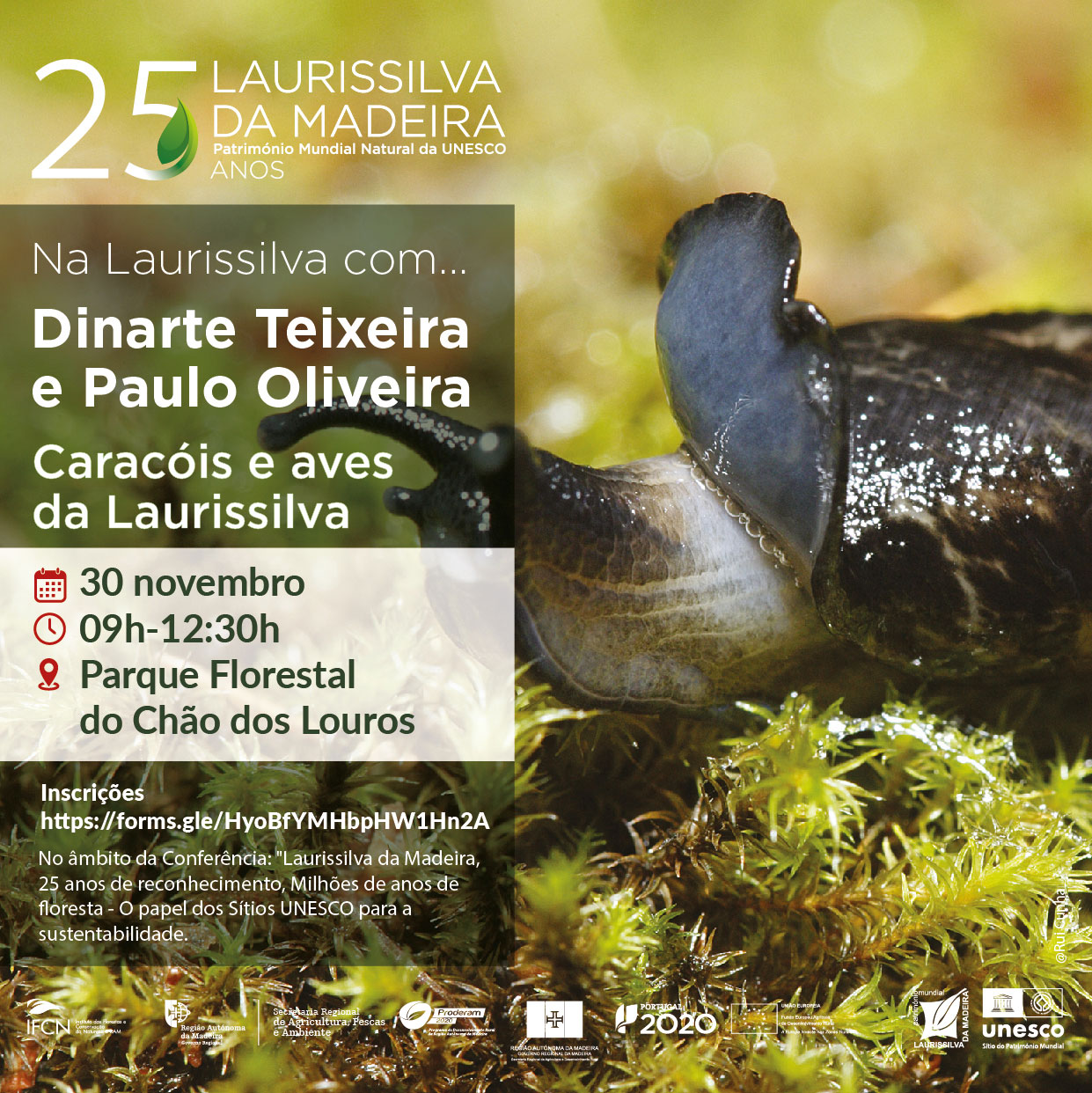 na laurissilva com05