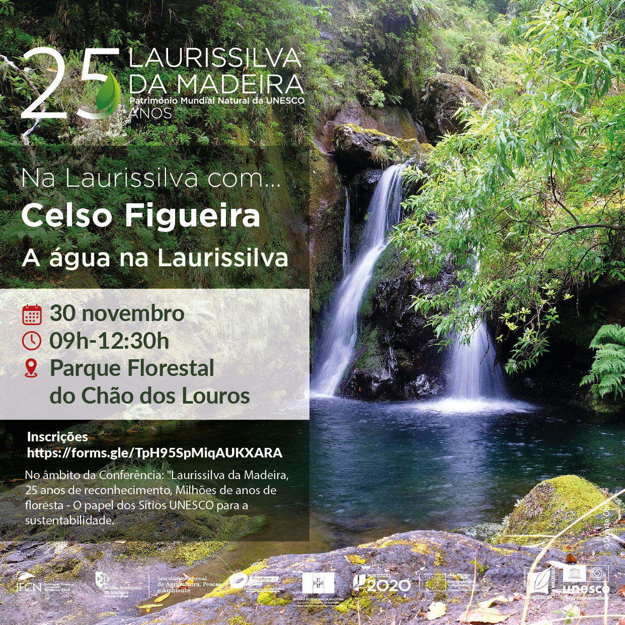 na laurissilva com06