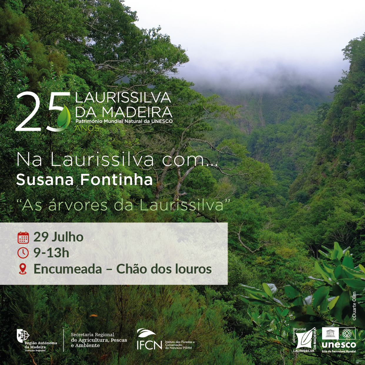 na laurissilva comNoticia01