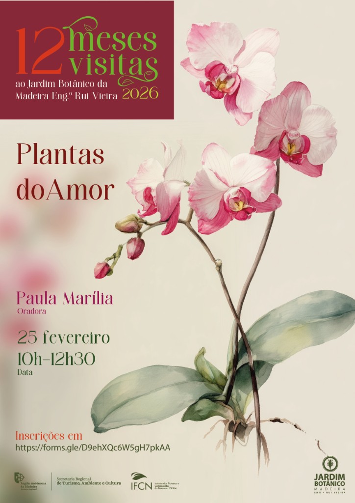 12meses12 visitas FevNet