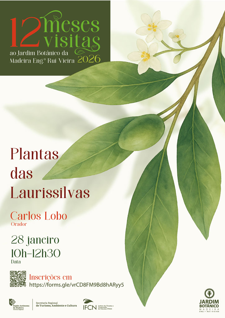 Plantas Laurissilva