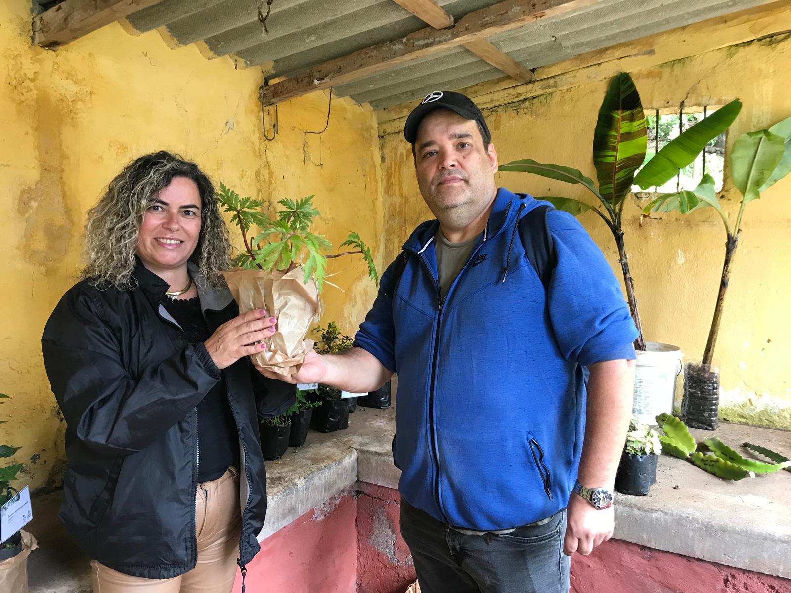 Banco Plantas 4