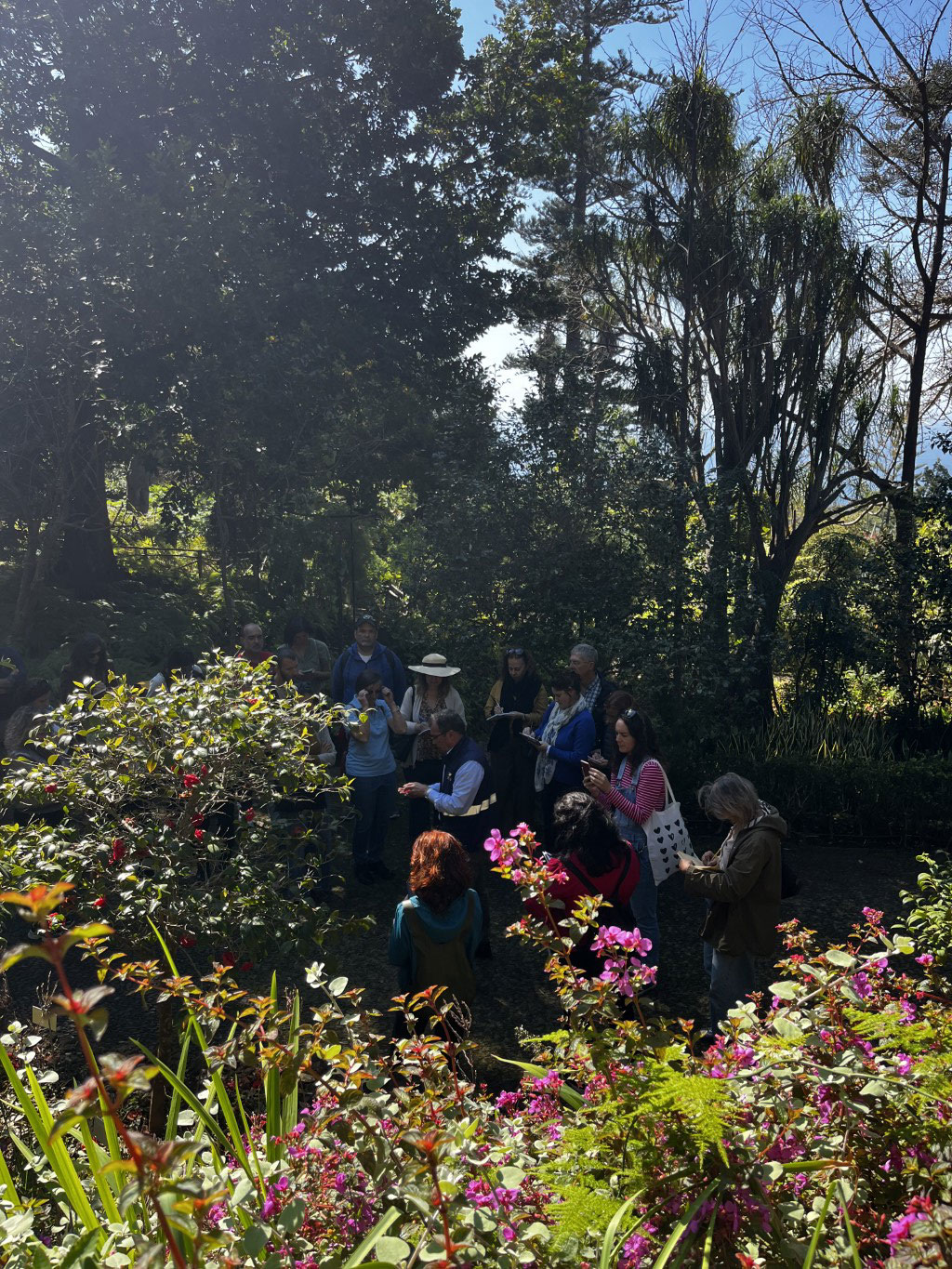 Plantas Arb 3149