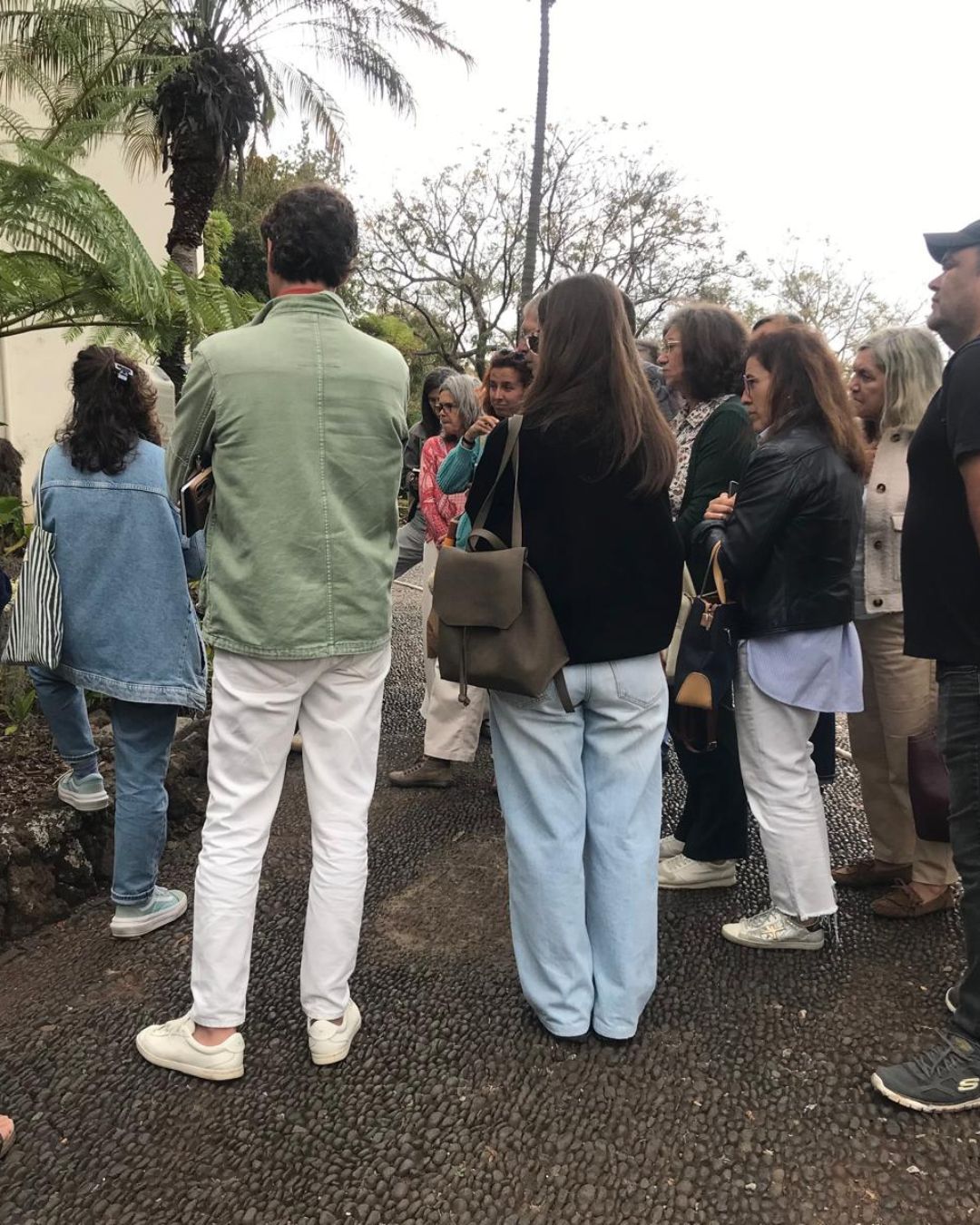 Plantas E Aux10