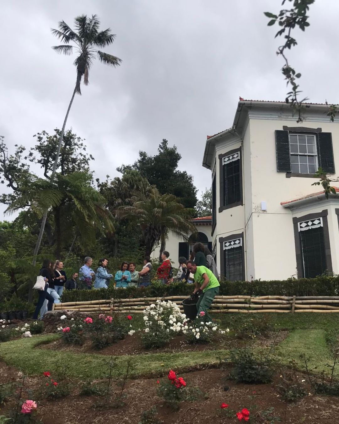 Plantas E Aux11