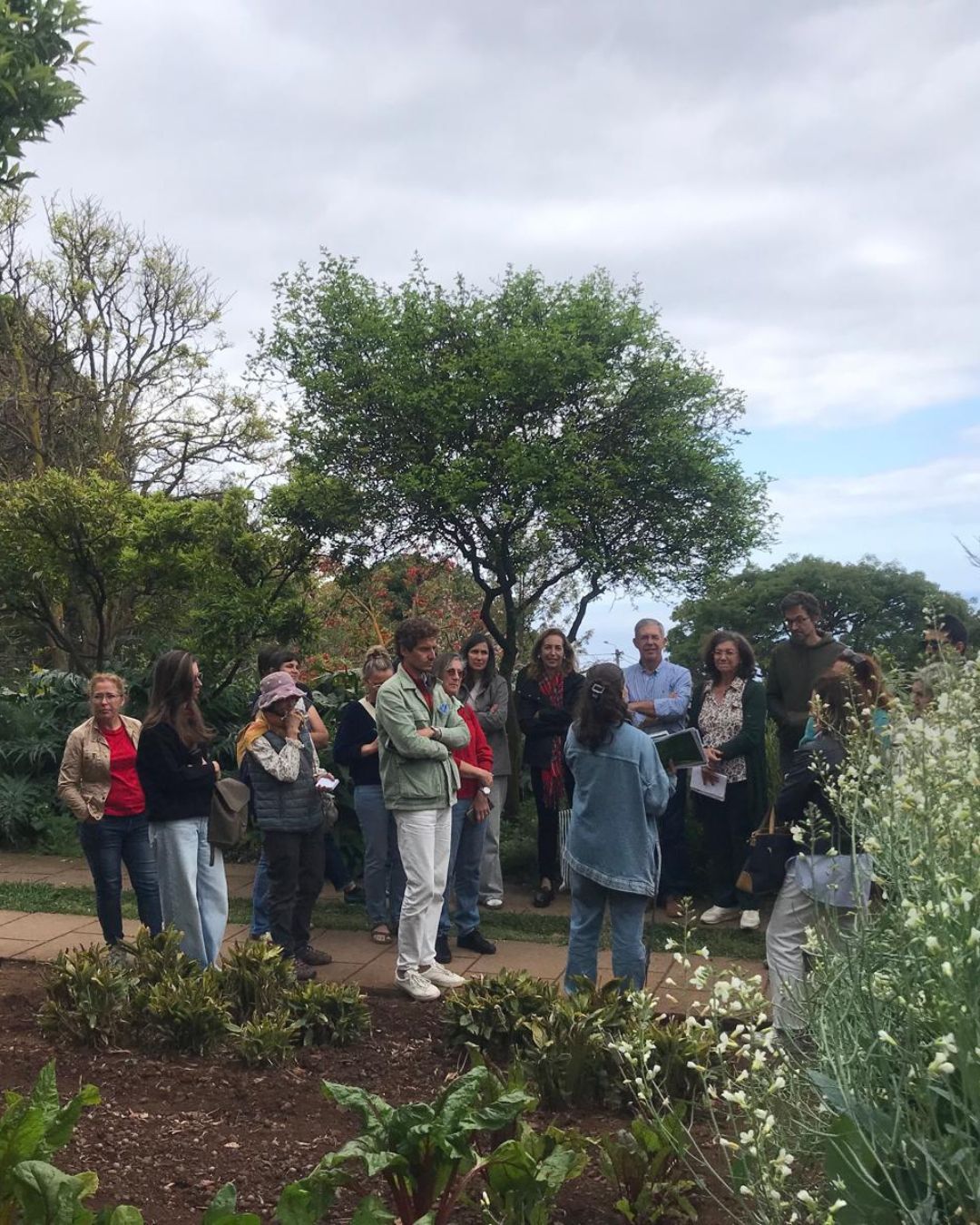 Plantas E Aux12