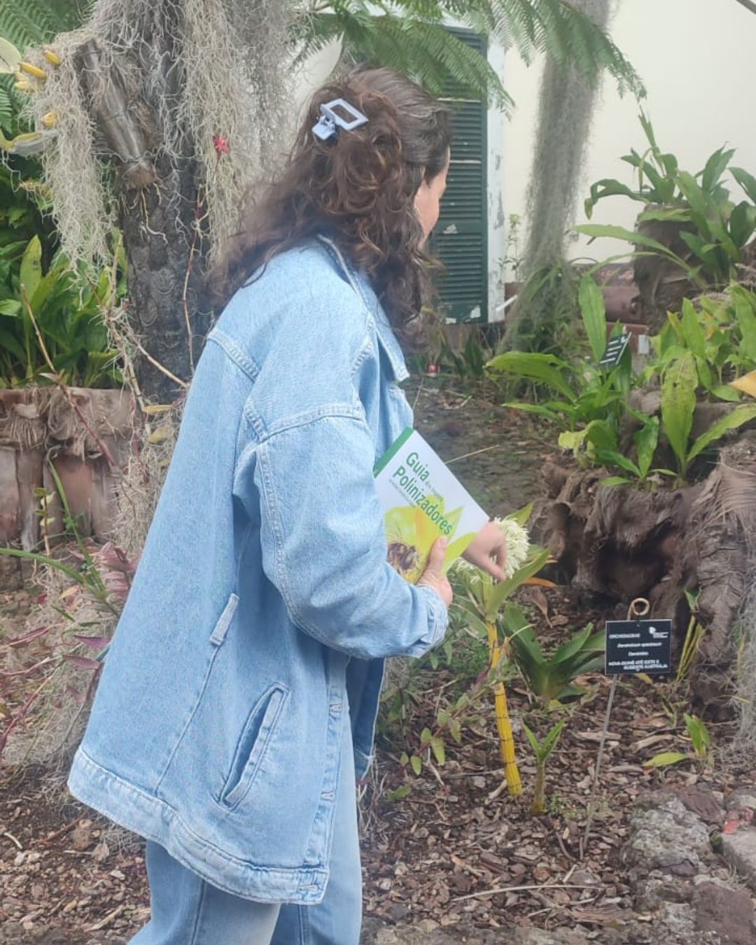 Plantas E Aux9