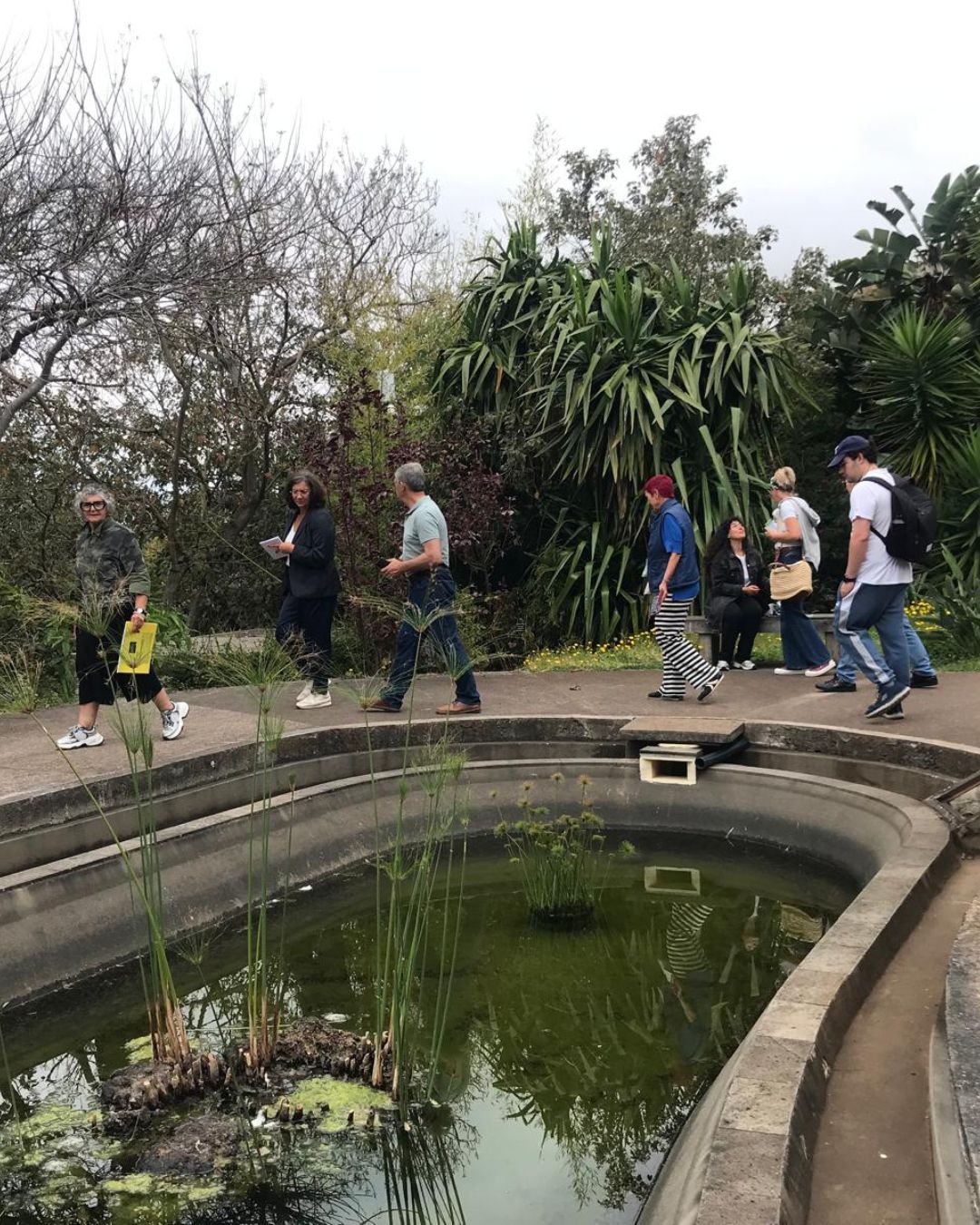 Plantas Aguat4