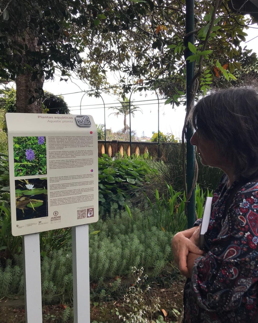 Plantas Aguat5