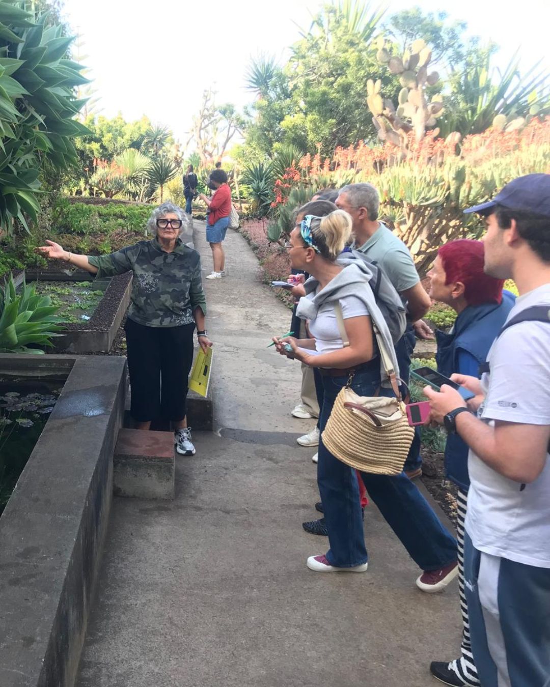 Plantas Aguat7