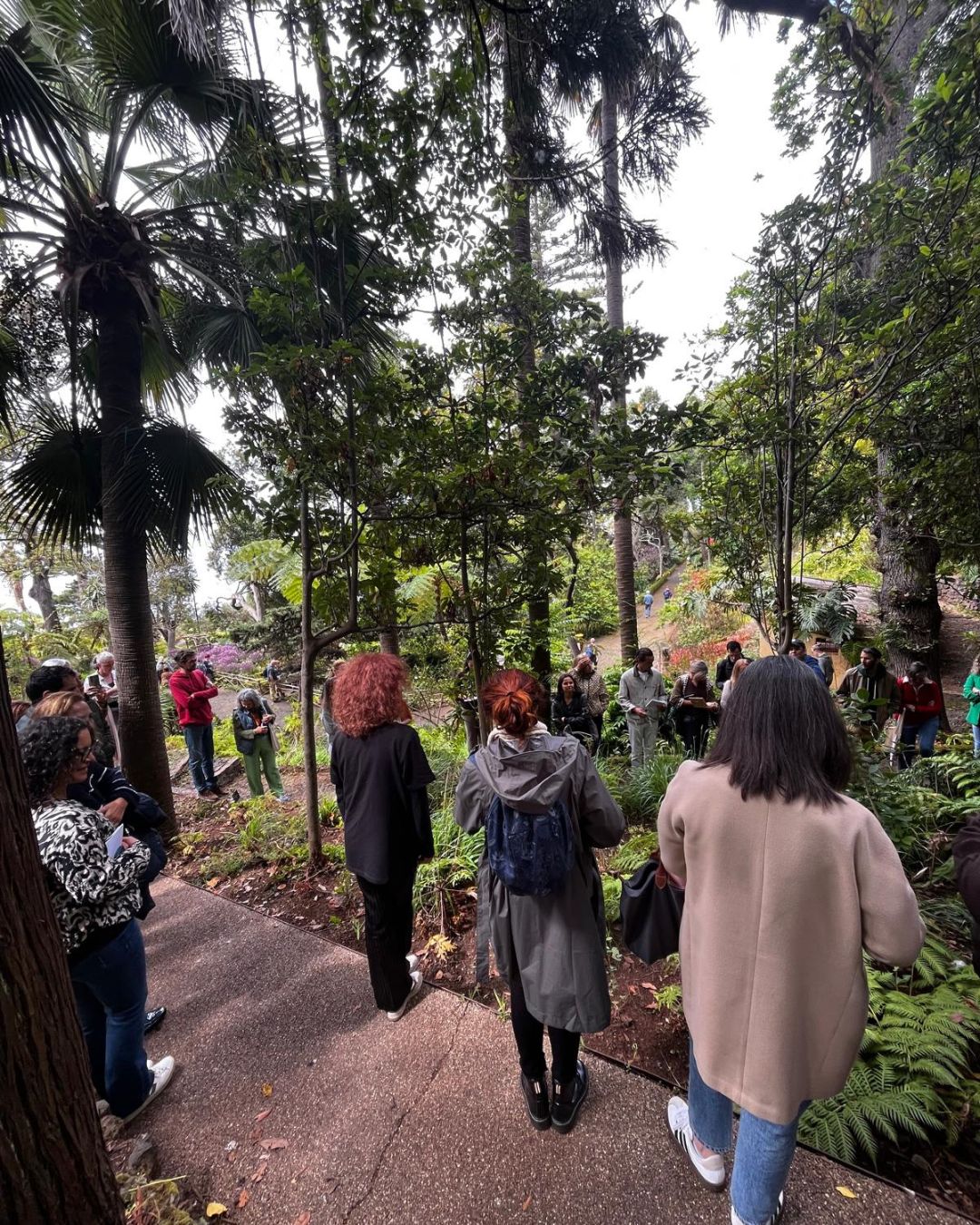 Plantas E Usos24