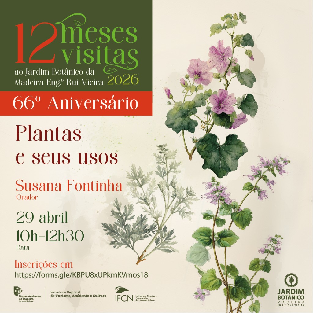 Plantas e seus usos