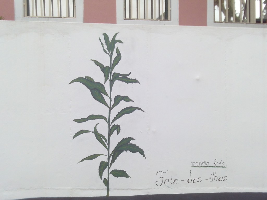 mural faia das ilhas