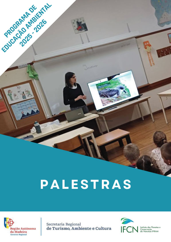 Palestras