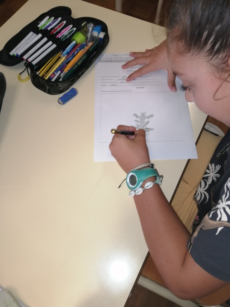 EB1 PE Ribeiro Domingos Dias