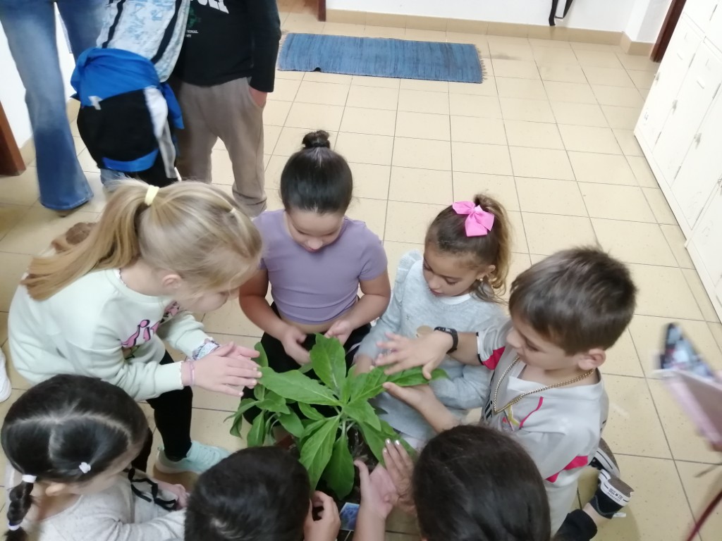 EB1 PE C de Santa Cruz