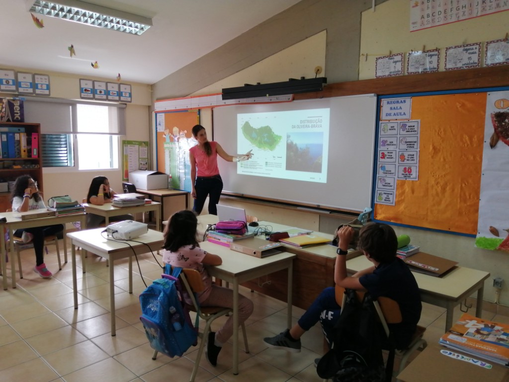 Apresentação do projeto1