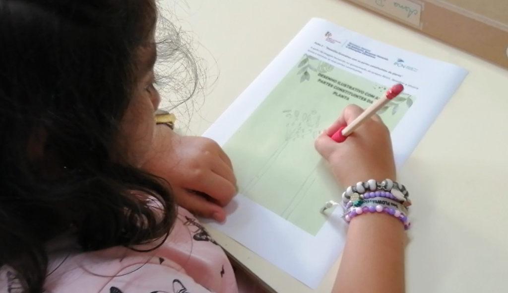 Apresentação do projeto2