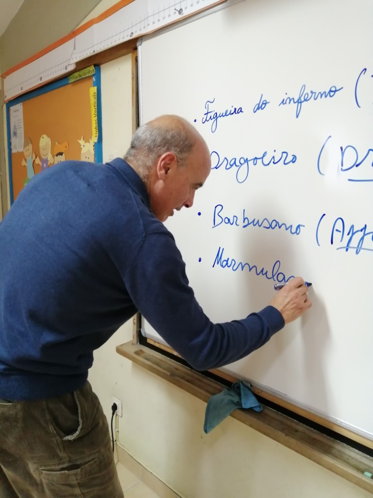 ConhecerOutrasRegis2