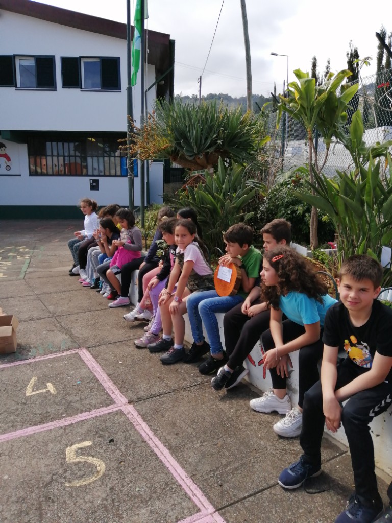 PlantacaooliveiraBrva1