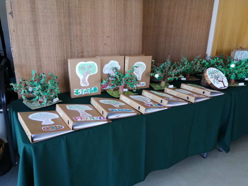 Portfolioelaboradocrianças