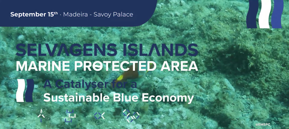 I Selvagens Catalizador