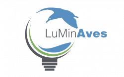 LuMinAves