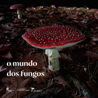guia cogumelos01