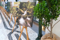 2Museucasadaluz