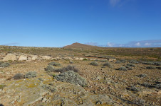 Pico Atalaia (Selvagem Grande)