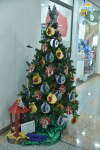 CACI de Santa Cruz