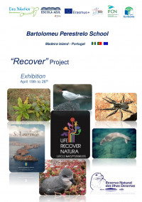 Bartolomeu Perestrelo School Recover