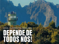 Campanha de prevenção dos incêndios florestais 2025