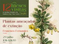 Visitas temáticas julho – 66º aniversário do JBM