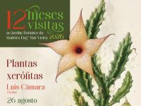 Visitas temáticas agosto – 66º aniversário do JBM